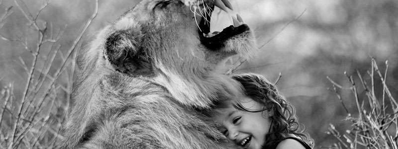 configuracion-conflictos